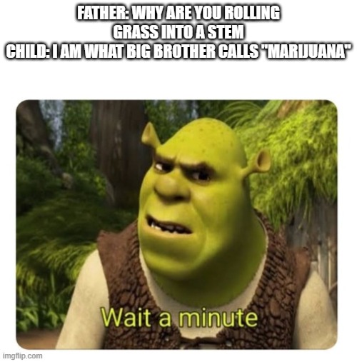 I could not find a blank temp for hold up so i did shrek | FATHER: WHY ARE YOU ROLLING GRASS INTO A STEM
CHILD: I AM WHAT BIG BROTHER CALLS "MARIJUANA" | image tagged in memes,funny,funny memes,lol,shrek,wait a minute | made w/ Imgflip meme maker
