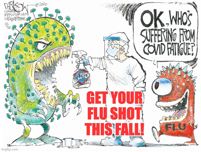 It's that special season | GET YOUR FLU SHOT THIS FALL! | image tagged in flu,disease,fall,psa | made w/ Imgflip meme maker