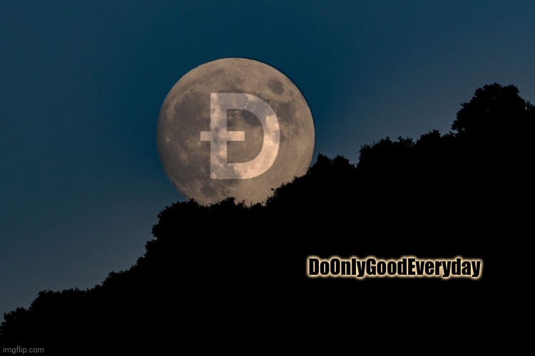 DoOnlyGoodEveryday | DoOnlyGoodEveryday | image tagged in dogecoin,elon musk | made w/ Imgflip meme maker