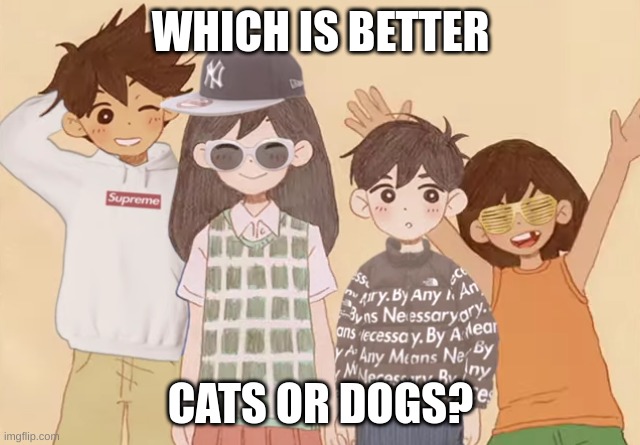 drip | WHICH IS BETTER; CATS OR DOGS? | image tagged in drip | made w/ Imgflip meme maker