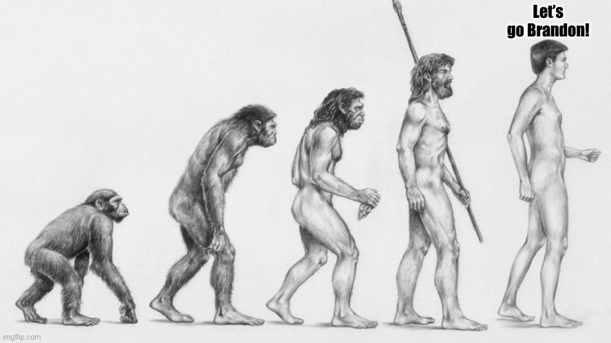 The evolution of man… | Let’s go Brandon! | image tagged in darwin,evolution of man,lets go brandon,fjb,ConservativesOnly | made w/ Imgflip meme maker