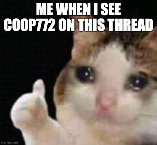 ME WHEN I SEE COOP772 ON THIS THREAD | image tagged in approved crying cat | made w/ Imgflip meme maker