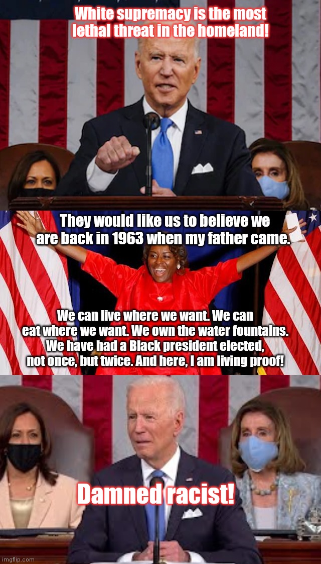 Biden vs VA's newly elected Lt. Governor Winsome Sears | White supremacy is the most lethal threat in the homeland! They would like us to believe we are back in 1963 when my father came. We can live where we want. We can eat where we want. We own the water fountains. We have had a Black president elected, not once, but twice. And here, I am living proof! Damned racist! | image tagged in winsome sears,virginia elections 2021,joe biden lies,liberal hypocrisy,race baiting,political humor | made w/ Imgflip meme maker