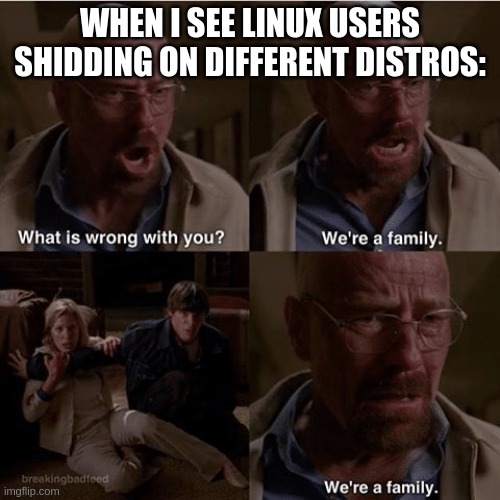 What is wrong with you? We're a family! | WHEN I SEE LINUX USERS SHIDDING ON DIFFERENT DISTROS: | image tagged in what is wrong with you we're a family | made w/ Imgflip meme maker