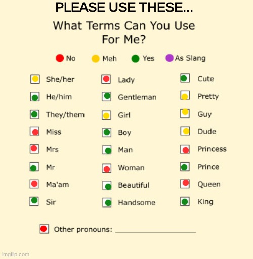 plssssss | PLEASE USE THESE... | image tagged in pronouns,he/they/she,they/them,he/him,she/her | made w/ Imgflip meme maker