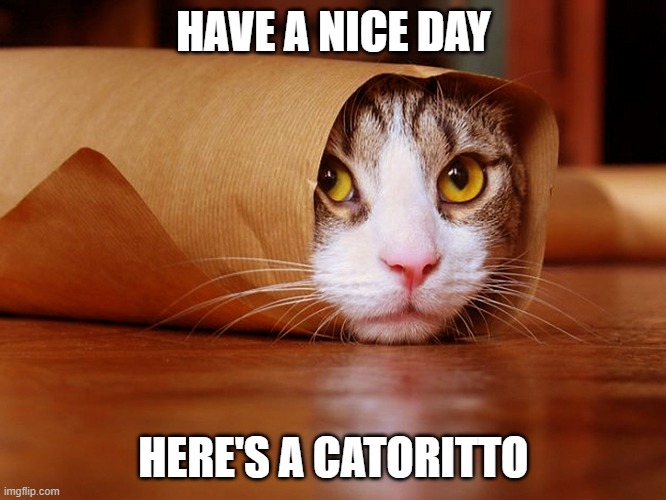 catoritto | HAVE A NICE DAY; HERE'S A CATORITTO | image tagged in cat,buritto | made w/ Imgflip meme maker