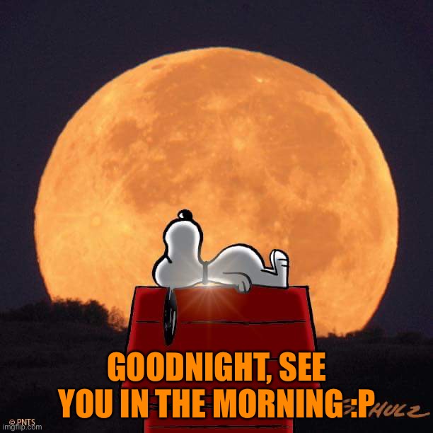 Goodnight :P | GOODNIGHT, SEE YOU IN THE MORNING :P | image tagged in goodnight | made w/ Imgflip meme maker