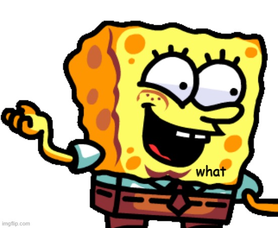 what | made w/ Imgflip meme maker