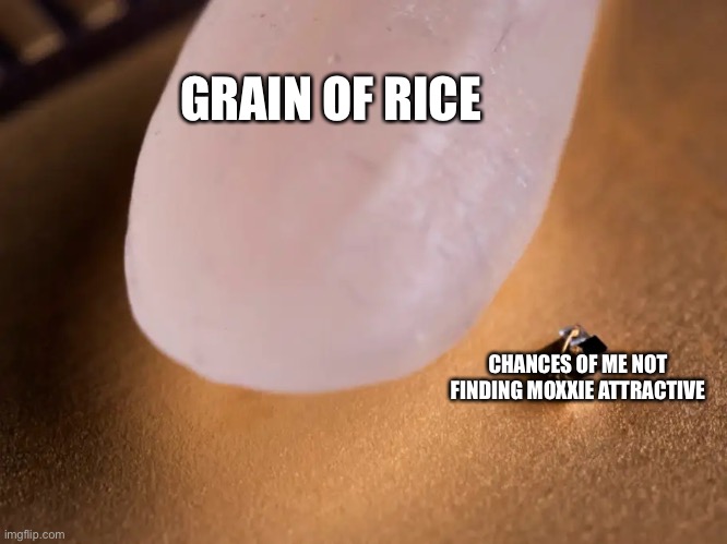 .__. Dont mind me just being G A Y | GRAIN OF RICE; CHANCES OF ME NOT FINDING MOXXIE ATTRACTIVE | image tagged in worlds smallest computer | made w/ Imgflip meme maker