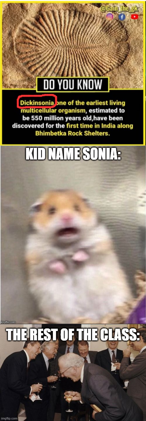 Teacher, they are bullying me! | KID NAME SONIA:; THE REST OF THE CLASS: | image tagged in scared hamster,memes,laughing men in suits | made w/ Imgflip meme maker