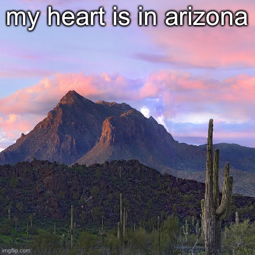 plot twist | my heart is in arizona | made w/ Imgflip meme maker