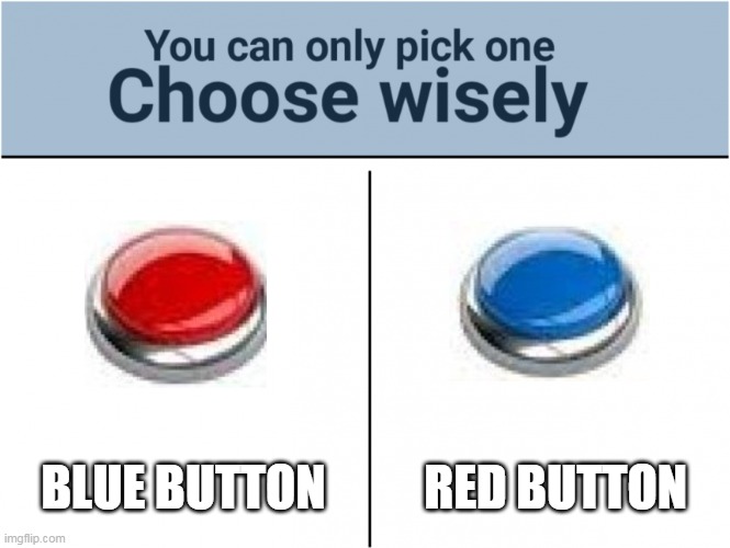you can pick only one choose wisely | BLUE BUTTON; RED BUTTON | image tagged in you can pick only one choose wisely | made w/ Imgflip meme maker