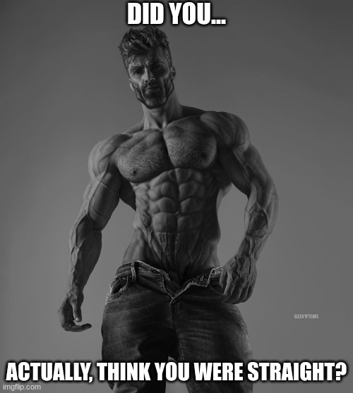 You actually thought? | DID YOU... ACTUALLY, THINK YOU WERE STRAIGHT? | image tagged in gigachad | made w/ Imgflip meme maker