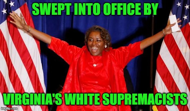 Virginia's white supremacists only vote for white candidates | SWEPT INTO OFFICE BY; VIRGINIA'S WHITE SUPREMACISTS | image tagged in winsome sears | made w/ Imgflip meme maker
