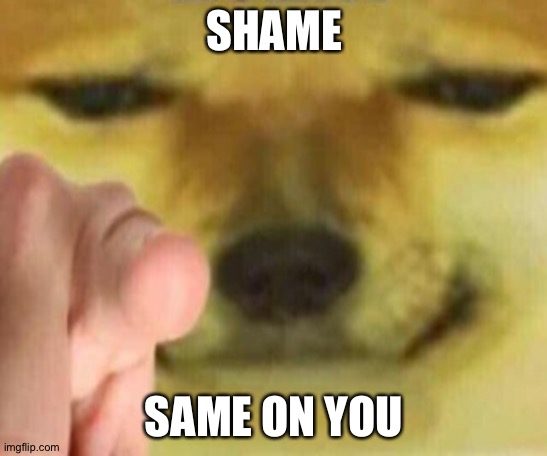 Cheems Pointing At You | SHAME SAME ON YOU | image tagged in cheems pointing at you | made w/ Imgflip meme maker
