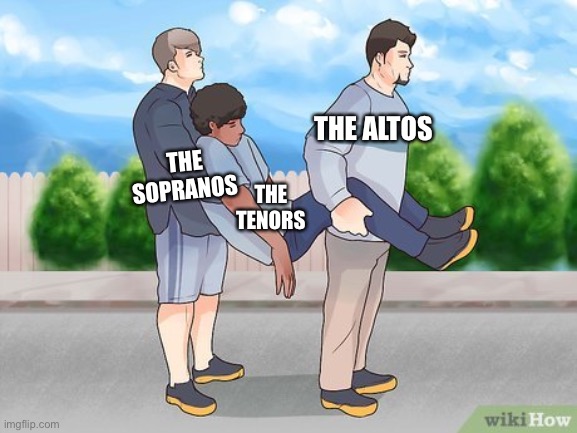 Carry | THE ALTOS; THE SOPRANOS; THE TENORS | image tagged in carry,choir,school,funny,only choir kids understand,memes | made w/ Imgflip meme maker