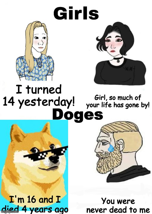 Happy B-day doge | I turned 14 yesterday! Girl, so much of your life has gone by! Doges; You were never dead to me; I'm 16 and I died 4 years ago | image tagged in girls vs boys | made w/ Imgflip meme maker