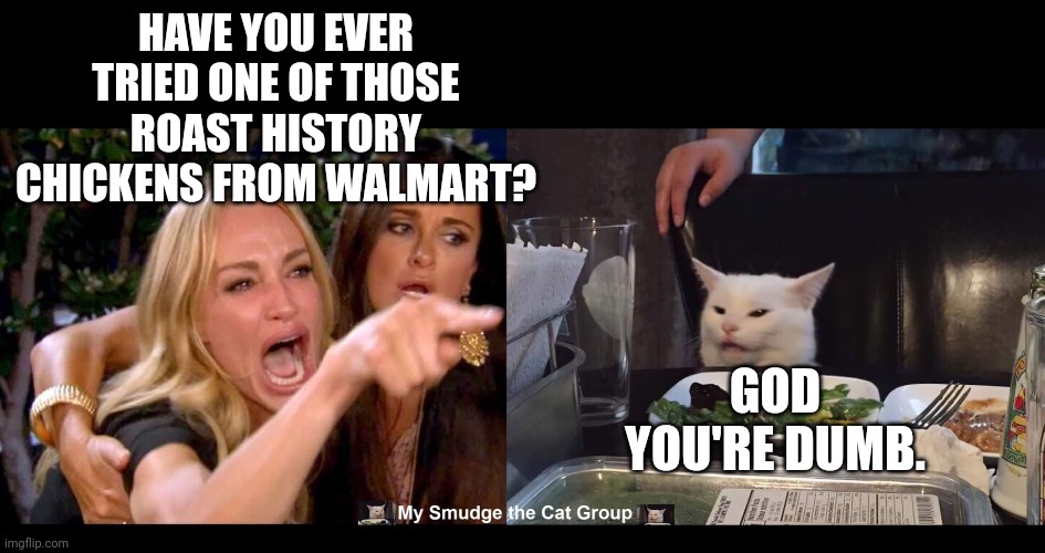 HAVE YOU EVER TRIED ONE OF THOSE ROAST HISTORY CHICKENS FROM WALMART? GOD YOU'RE DUMB. | image tagged in smudge the cat | made w/ Imgflip meme maker