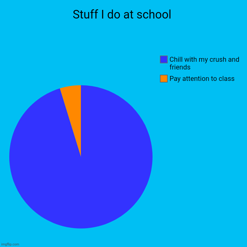 Stuff I do at school | Pay attention to class, Chill with my crush and friends | image tagged in charts,pie charts | made w/ Imgflip chart maker
