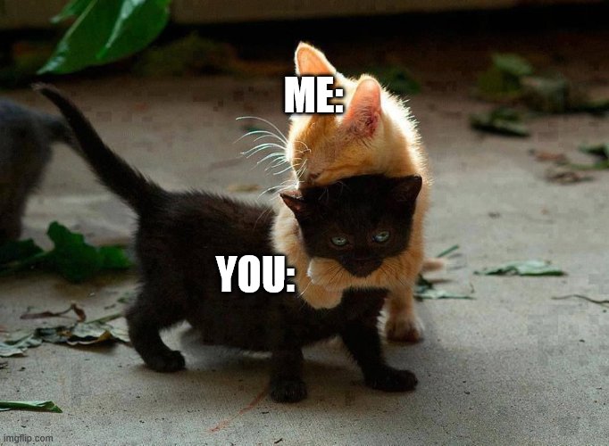 kitten hug | ME: YOU: | image tagged in kitten hug | made w/ Imgflip meme maker
