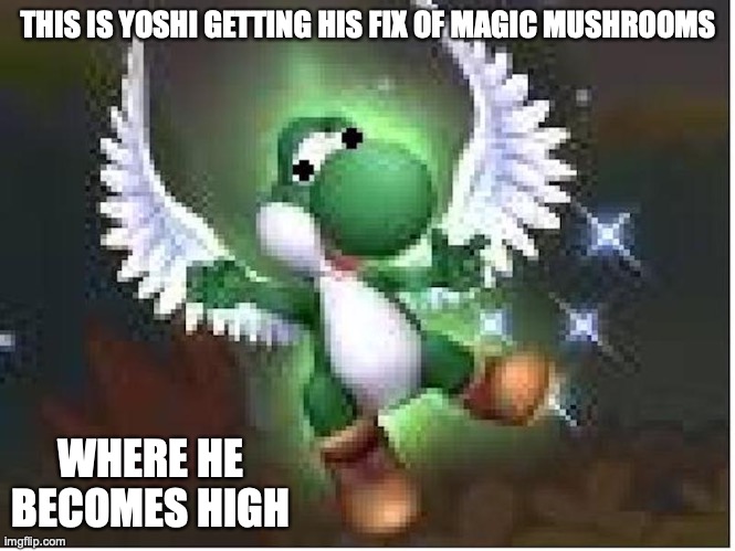 Yoshi Getting High | THIS IS YOSHI GETTING HIS FIX OF MAGIC MUSHROOMS; WHERE HE BECOMES HIGH | image tagged in memes,yoshi,super mario | made w/ Imgflip meme maker