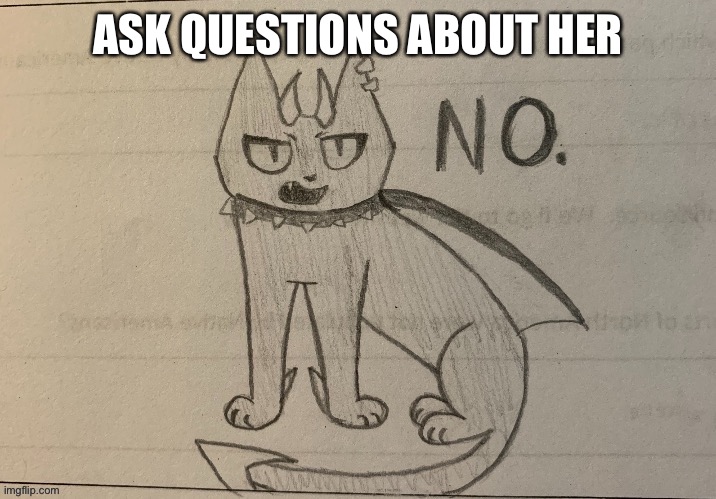 no | ASK QUESTIONS ABOUT HER | image tagged in no | made w/ Imgflip meme maker