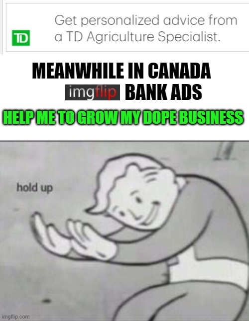 MEANWHILE IN CANADA
                        BANK ADS; HELP ME TO GROW MY DOPE BUSINESS | image tagged in only in canada,td bank,dope | made w/ Imgflip meme maker