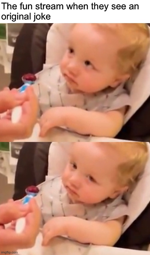 Why not poke fun at them for the 9000th time | The fun stream when they see an 
original joke | image tagged in funny | made w/ Imgflip meme maker