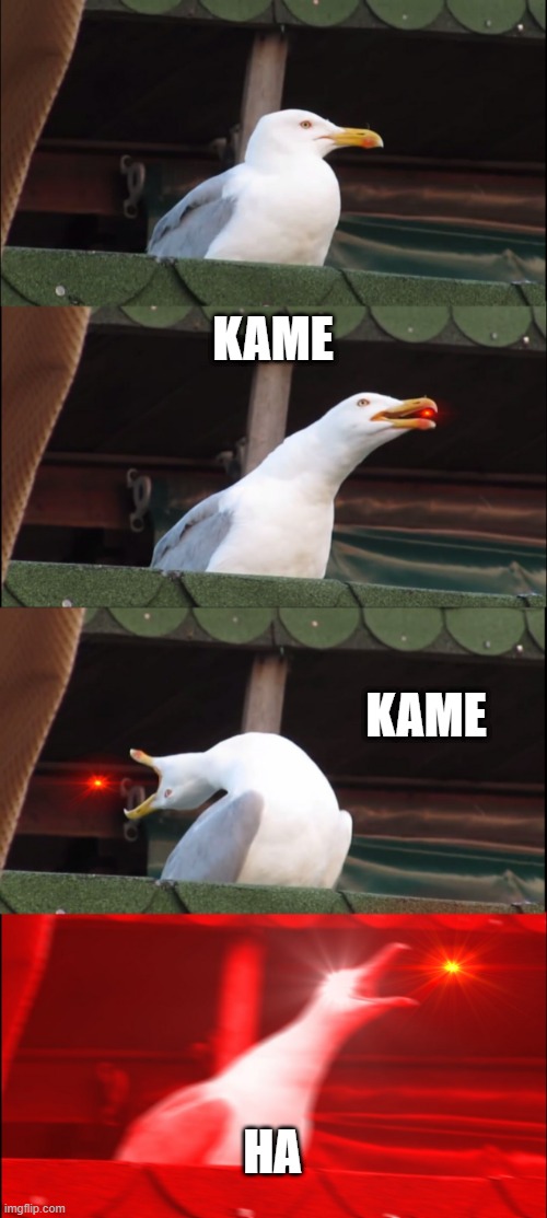 Inhaling Seagull | KAME; KAME; HA | image tagged in memes,inhaling seagull | made w/ Imgflip meme maker