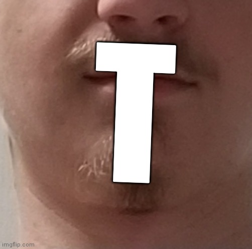 TheLargePig is right, my goatee IS ACTUALLY a ducking "T" | T | image tagged in beard | made w/ Imgflip meme maker