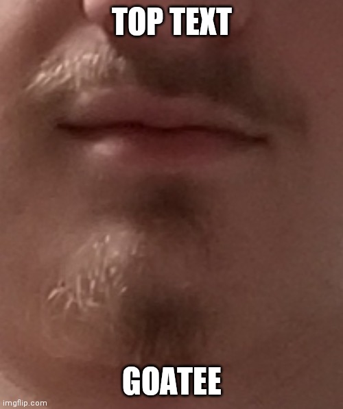 TOP TEXT GOATEE | made w/ Imgflip meme maker
