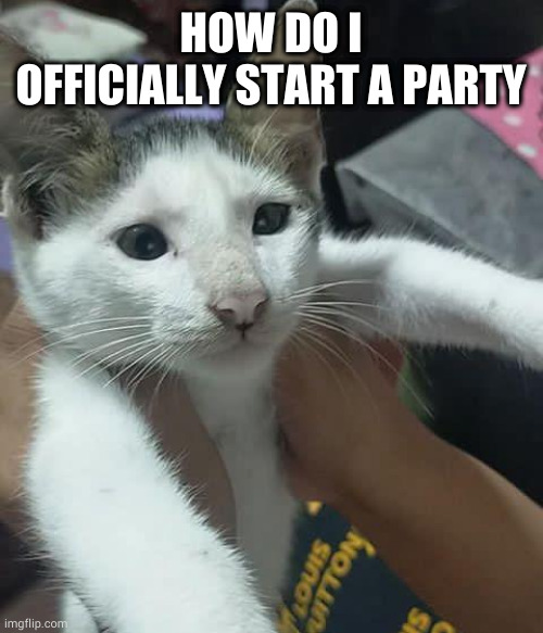 fafa | HOW DO I OFFICIALLY START A PARTY | image tagged in fufu | made w/ Imgflip meme maker