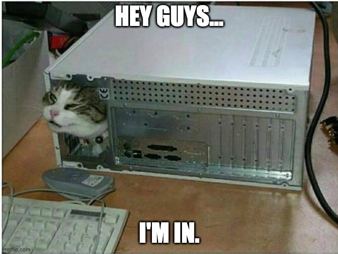 Haccer Catto | HEY GUYS... I'M IN. | image tagged in memes,funny,cat,cats | made w/ Imgflip meme maker