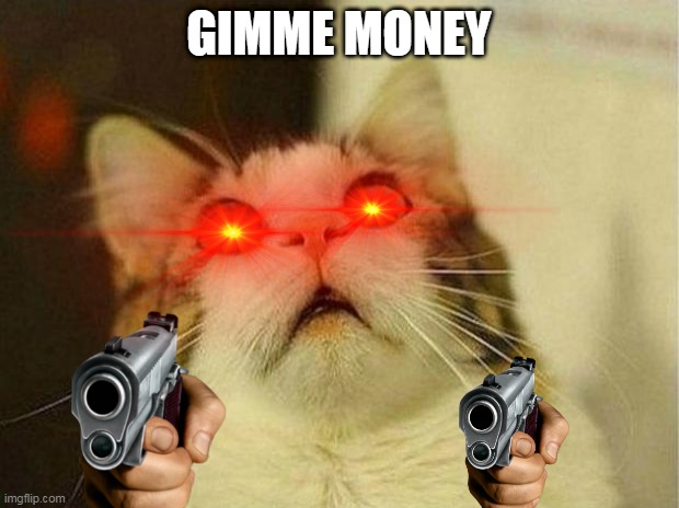 Scared Cat Meme | GIMME MONEY | image tagged in memes,scared cat | made w/ Imgflip meme maker