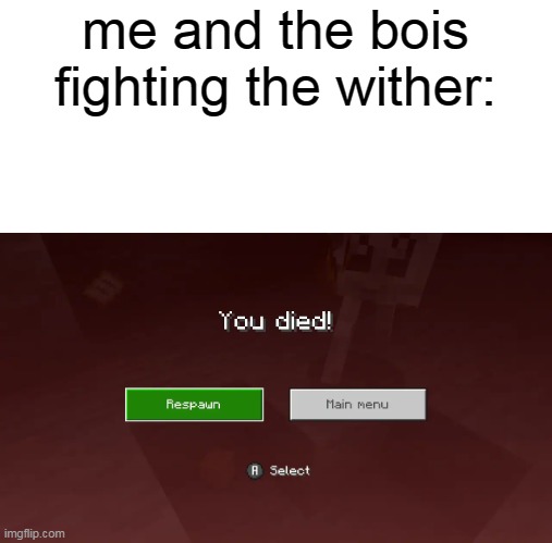ok | me and the bois fighting the wither: | image tagged in memes,what,nooooooooo | made w/ Imgflip meme maker