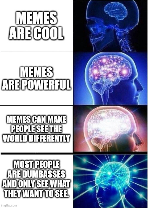 Evolution of Memes | MEMES ARE COOL; MEMES ARE POWERFUL; MEMES CAN MAKE PEOPLE SEE THE WORLD DIFFERENTLY; MOST PEOPLE ARE DUMBASSES AND ONLY SEE WHAT THEY WANT TO SEE. | image tagged in memes,expanding brain | made w/ Imgflip meme maker