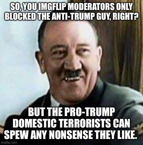 laughing hitler | SO, YOU IMGFLIP MODERATORS ONLY BLOCKED THE ANTI-TRUMP GUY, RIGHT? BUT THE PRO-TRUMP DOMESTIC TERRORISTS CAN SPEW ANY NONSENSE THEY LIKE. | image tagged in laughing hitler | made w/ Imgflip meme maker