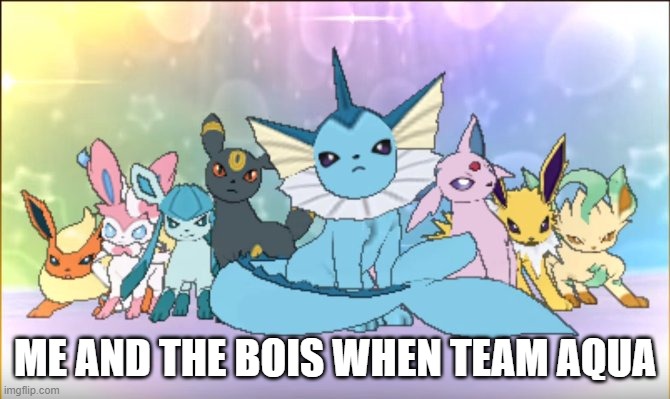 (btw this is represented by our pokemon) | ME AND THE BOIS WHEN TEAM AQUA | image tagged in pokemon sun moon eevee squad | made w/ Imgflip meme maker