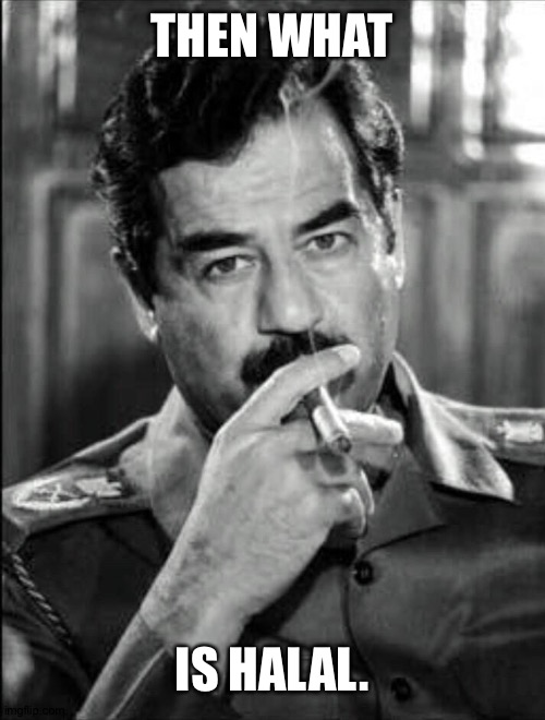 Saddam Smoking Noir | THEN WHAT IS HALAL. | image tagged in saddam smoking noir | made w/ Imgflip meme maker