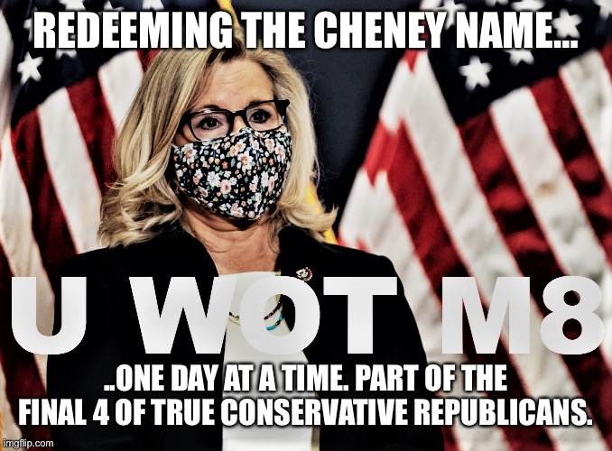 Liz Cheney U Wot M8 redux 2 | REDEEMING THE CHENEY NAME…; ..ONE DAY AT A TIME. PART OF THE FINAL 4 OF TRUE CONSERVATIVE REPUBLICANS. | image tagged in liz cheney u wot m8 redux 2 | made w/ Imgflip meme maker