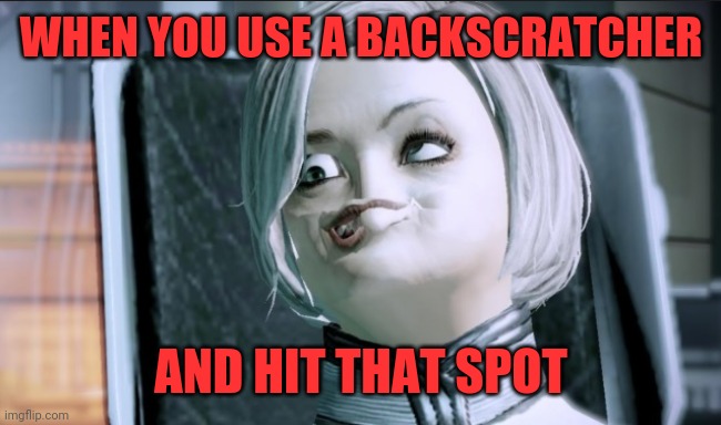 Itchy | WHEN YOU USE A BACKSCRATCHER; AND HIT THAT SPOT | image tagged in scratch,spot,vibe,climaxed,satisfying | made w/ Imgflip meme maker