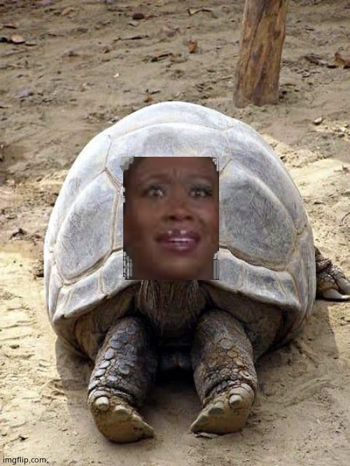 Smiling happy excited tortoise | image tagged in smiling happy excited tortoise | made w/ Imgflip meme maker
