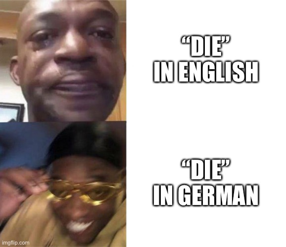 die |  “DIE” IN ENGLISH; “DIE” IN GERMAN | image tagged in black guy crying and black guy laughing | made w/ Imgflip meme maker