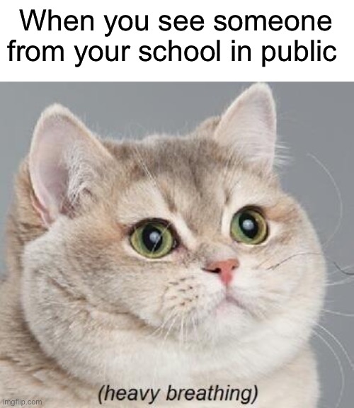THE AWKWARDNESSSSSSS |  When you see someone from your school in public | image tagged in memes,heavy breathing cat,relatable,school,oh wow are you actually reading these tags | made w/ Imgflip meme maker
