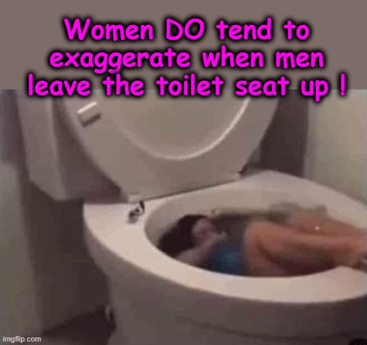 Female Exaggeration |  Women DO tend to
exaggerate when men
leave the toilet seat up ! | image tagged in toilet seat | made w/ Imgflip meme maker