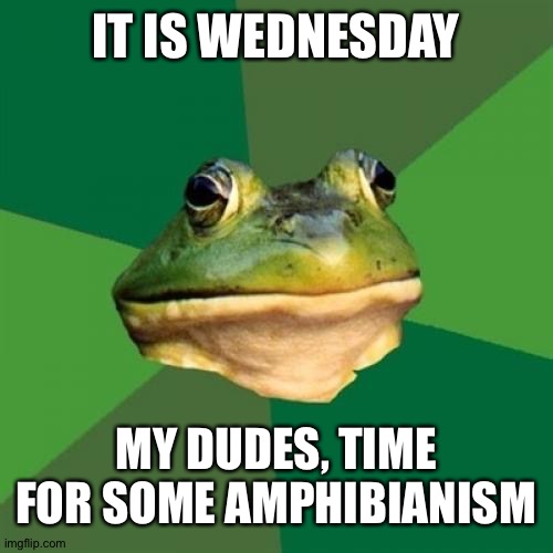AAAAAaaaaäæáàAAAAÆÄÂaaaAAAAAA | IT IS WEDNESDAY; MY DUDES, TIME FOR SOME AMPHIBIANISM | image tagged in foul bachelor frog | made w/ Imgflip meme maker