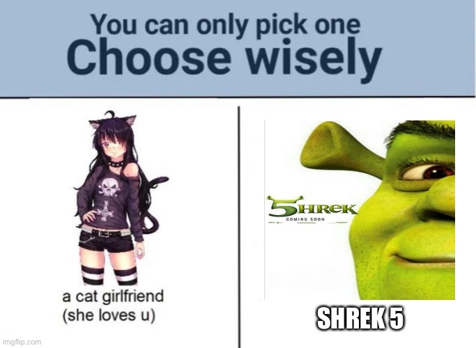 Choose wisely |  SHREK 5 | image tagged in choose wisely | made w/ Imgflip meme maker