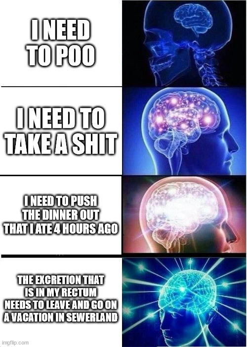 Poo :D | I NEED TO POO; I NEED TO TAKE A SHIT; I NEED TO PUSH THE DINNER OUT THAT I ATE 4 HOURS AGO; THE EXCRETION THAT IS IN MY RECTUM NEEDS TO LEAVE AND GO ON A VACATION IN SEWERLAND | image tagged in memes,expanding brain | made w/ Imgflip meme maker