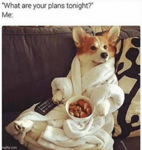 I do that as well | image tagged in memes,funny,dogs,corgi,cute,food | made w/ Imgflip meme maker