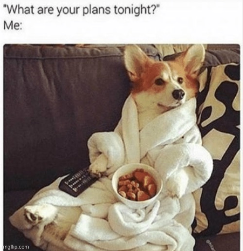 I would do that as well ;) | image tagged in memes,funny,corgi,dogs,cute,food | made w/ Imgflip meme maker